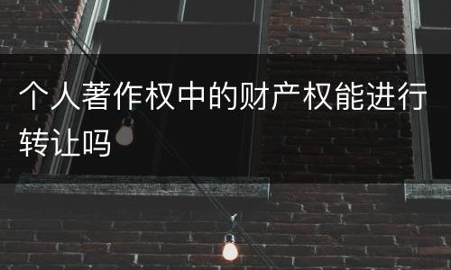 个人著作权中的财产权能进行转让吗