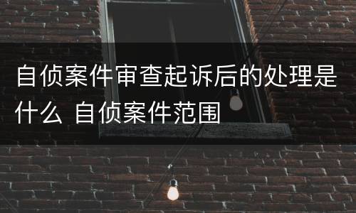 自侦案件审查起诉后的处理是什么 自侦案件范围