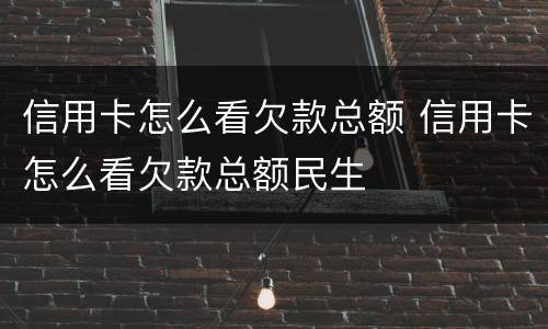 信用卡怎么看欠款总额 信用卡怎么看欠款总额民生