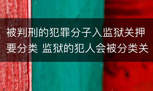 被判刑的犯罪分子入监狱关押要分类 监狱的犯人会被分类关押么
