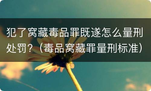 犯了窝藏毒品罪既遂怎么量刑处罚?（毒品窝藏罪量刑标准）