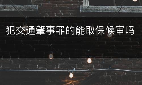 犯交通肇事罪的能取保候审吗