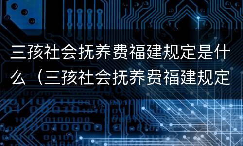 三孩社会抚养费福建规定是什么（三孩社会抚养费福建规定是什么标准）