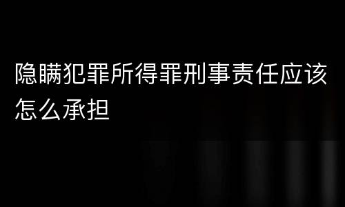 隐瞒犯罪所得罪刑事责任应该怎么承担