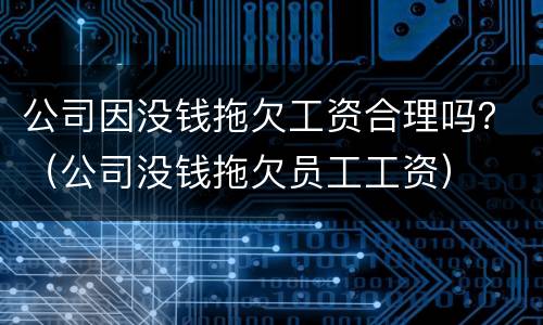 公司因没钱拖欠工资合理吗？（公司没钱拖欠员工工资）
