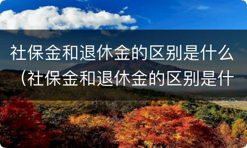 社保金和退休金的区别是什么（社保金和退休金的区别是什么意思）