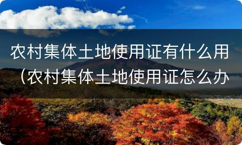 农村集体土地使用证有什么用（农村集体土地使用证怎么办理?）
