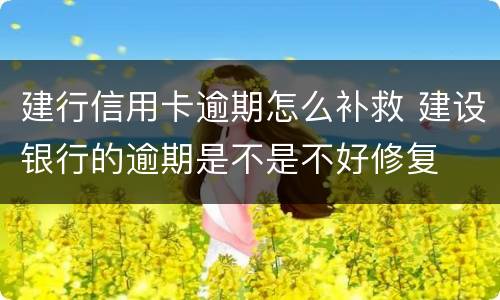 建行信用卡逾期怎么补救 建设银行的逾期是不是不好修复