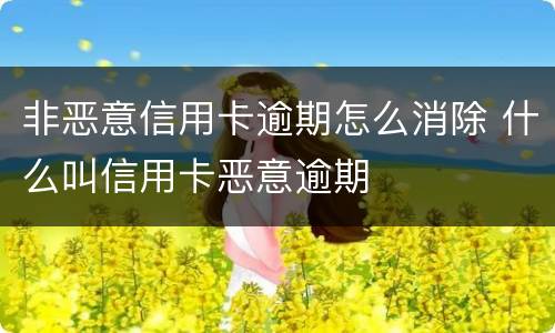 非恶意信用卡逾期怎么消除 什么叫信用卡恶意逾期