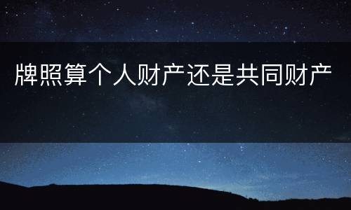 牌照算个人财产还是共同财产