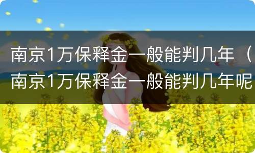 南京1万保释金一般能判几年（南京1万保释金一般能判几年呢）