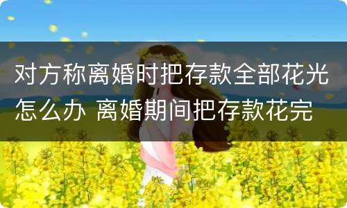 对方称离婚时把存款全部花光怎么办 离婚期间把存款花完