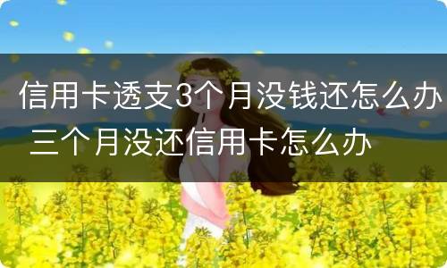 信用卡透支3个月没钱还怎么办 三个月没还信用卡怎么办