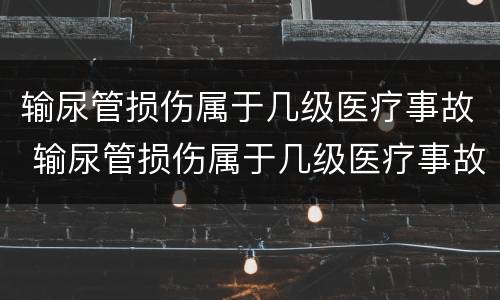 输尿管损伤属于几级医疗事故 输尿管损伤属于几级医疗事故吗