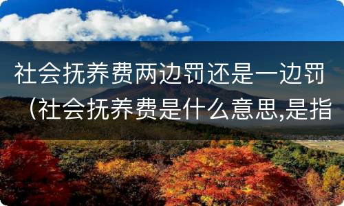 社会抚养费两边罚还是一边罚（社会抚养费是什么意思,是指罚款吗?）