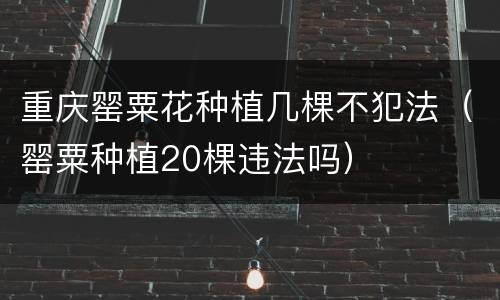 重庆罂粟花种植几棵不犯法（罂粟种植20棵违法吗）