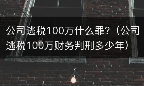公司逃税100万什么罪?（公司逃税100万财务判刑多少年）