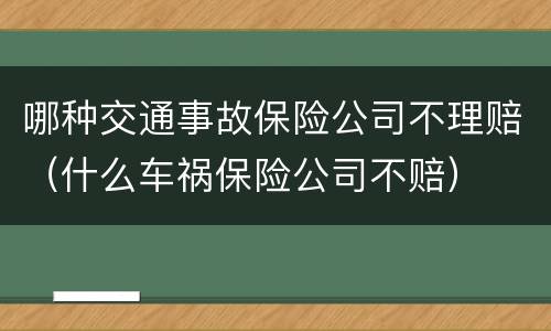 哪种交通事故保险公司不理赔（什么车祸保险公司不赔）