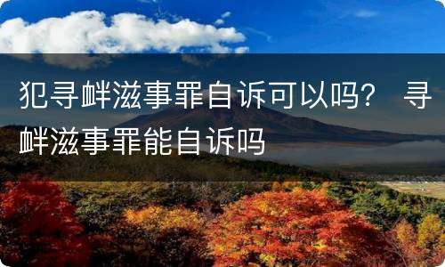 犯寻衅滋事罪自诉可以吗？ 寻衅滋事罪能自诉吗