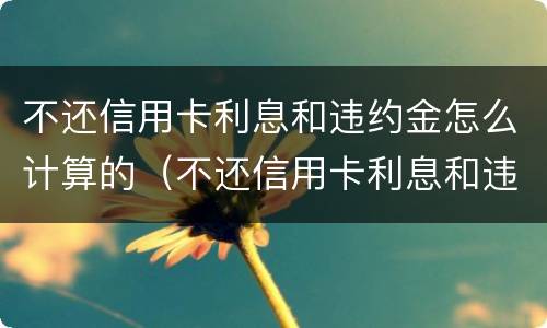 不还信用卡利息和违约金怎么计算的（不还信用卡利息和违约金怎么计算的呢）