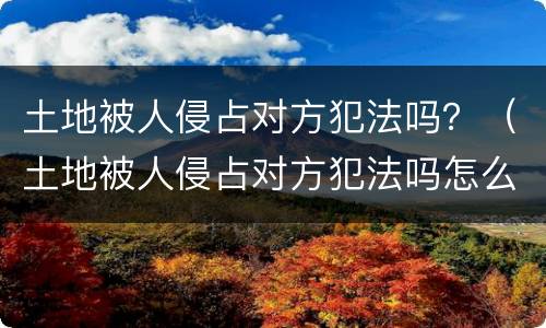 土地被人侵占对方犯法吗？（土地被人侵占对方犯法吗怎么判）