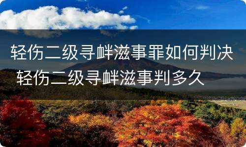 轻伤二级寻衅滋事罪如何判决 轻伤二级寻衅滋事判多久