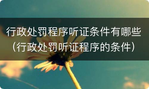 行政处罚程序听证条件有哪些（行政处罚听证程序的条件）