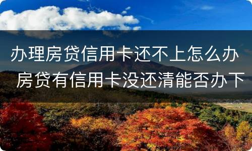 办理房贷信用卡还不上怎么办 房贷有信用卡没还清能否办下来