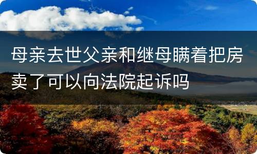 母亲去世父亲和继母瞒着把房卖了可以向法院起诉吗
