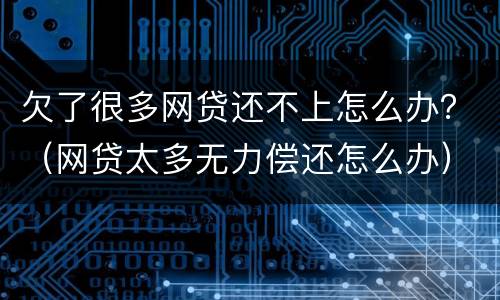 欠了很多网贷还不上怎么办？（网贷太多无力偿还怎么办）