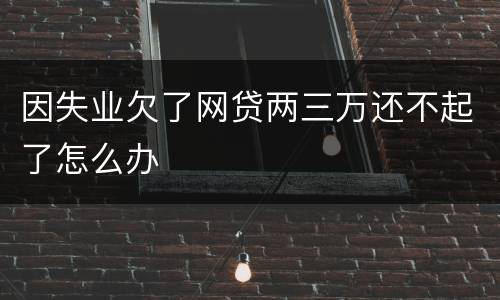 因失业欠了网贷两三万还不起了怎么办