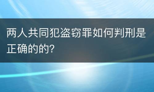 两人共同犯盗窃罪如何判刑是正确的的？