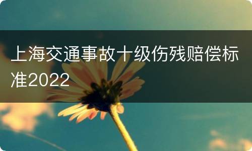 上海交通事故十级伤残赔偿标准2022