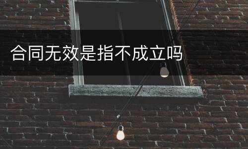 合同无效是指不成立吗