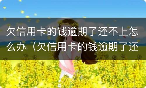 欠信用卡的钱逾期了还不上怎么办（欠信用卡的钱逾期了还不上怎么办）