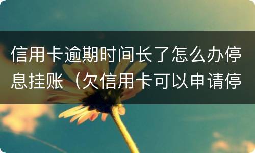 信用卡逾期时间长了怎么办停息挂账（欠信用卡可以申请停息挂账吗）