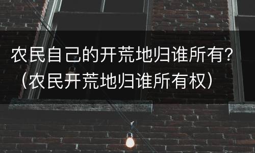 农民自己的开荒地归谁所有？（农民开荒地归谁所有权）