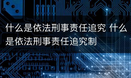 什么是依法刑事责任追究 什么是依法刑事责任追究制