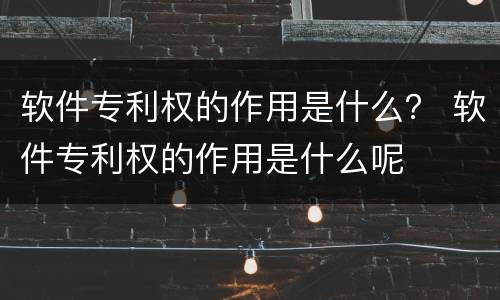 软件专利权的作用是什么？ 软件专利权的作用是什么呢