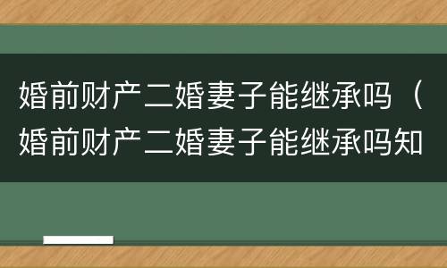 婚前财产二婚妻子能继承吗（婚前财产二婚妻子能继承吗知乎）