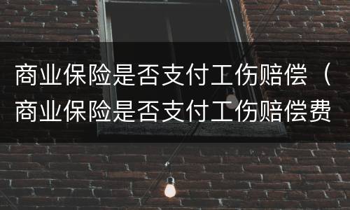 商业保险是否支付工伤赔偿（商业保险是否支付工伤赔偿费用）