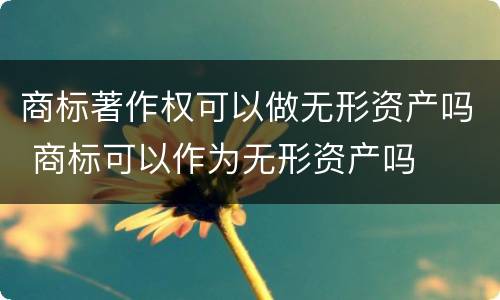 商标著作权可以做无形资产吗 商标可以作为无形资产吗