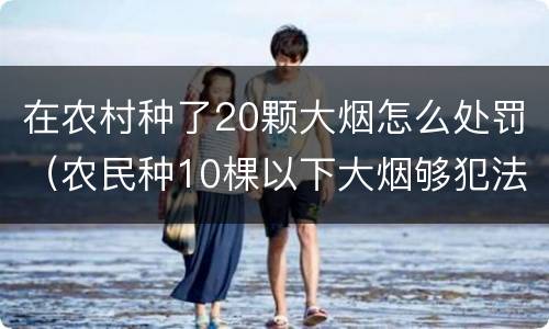 在农村种了20颗大烟怎么处罚（农民种10棵以下大烟够犯法吗）