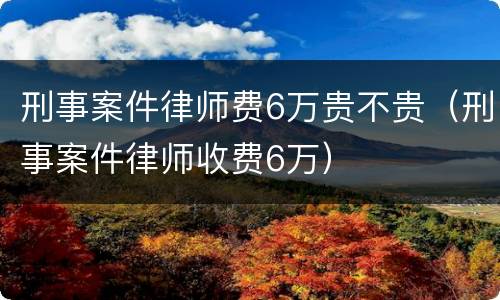 刑事案件律师费6万贵不贵（刑事案件律师收费6万）
