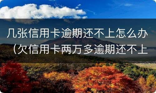 几张信用卡逾期还不上怎么办（欠信用卡两万多逾期还不上怎么办）