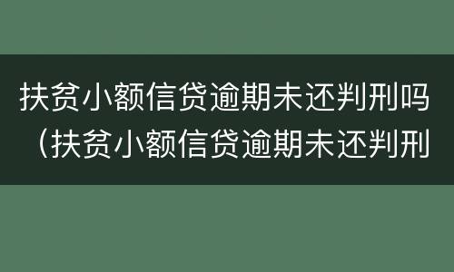 扶贫小额信贷逾期未还判刑吗（扶贫小额信贷逾期未还判刑吗多久）
