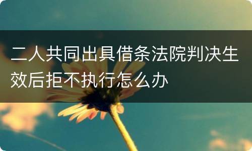 二人共同出具借条法院判决生效后拒不执行怎么办