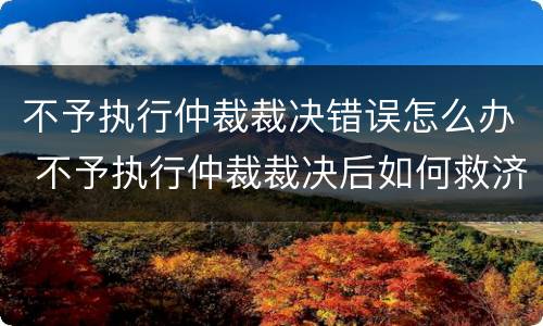 不予执行仲裁裁决错误怎么办 不予执行仲裁裁决后如何救济
