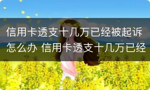 信用卡透支十几万已经被起诉怎么办 信用卡透支十几万已经被起诉怎么办理