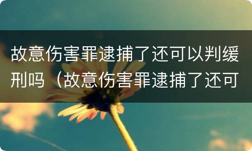 故意伤害罪逮捕了还可以判缓刑吗（故意伤害罪逮捕了还可以判缓刑吗知乎）